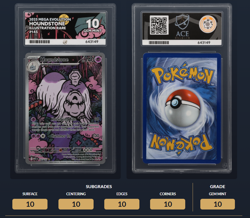 Houndstone 145/132 - Perfect ACE 10 - Mega Evolution - Pokemon TCG - Image 3