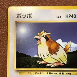Pidgeot #018 Holo Pidgey #016 Vintage Pokemon TCG Japanese card Nintendo P92 - Image 4