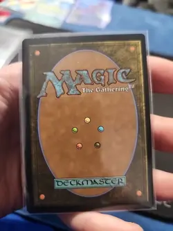 Fierce Guardianship Secret Lair Drop Regular - Image 2