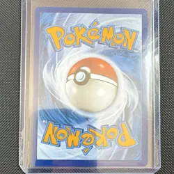 Pokemon Squirtle 170/165 Scarlet & Violet 151 Illustration Rare Holo Card MINT - Image 4