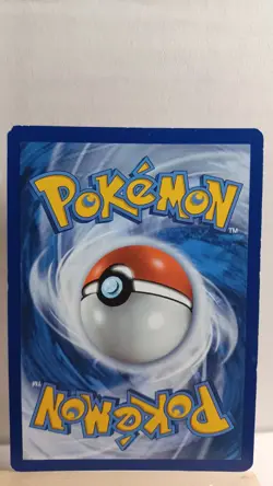 Tepig [MP] - Pokemon TCG Sword and Shield Promos SWSH172 [Promo] - Image 2
