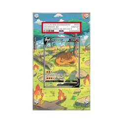 Charizard SWSH 260 - Pokemon PSA Extended Artwork Protective Card Display Case - Image 1