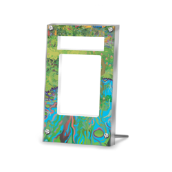 Ivysaur 167/165 - Pokemon PSA Extended Artwork Protective Card Display Case - Image 2