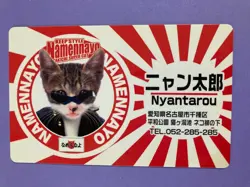 Nyantarou Namennayo TCG TAKICHI SUPER CAT ID Card Perlorian Cats Japanese - Image 5