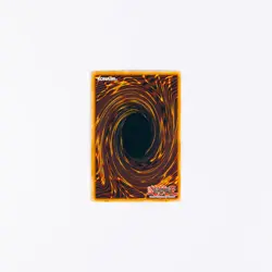 Yu-Gi-Oh! Exodia The Forbidden One Full Set | MC1 Head - DLG1 Body | MP/HP - Image 5