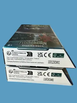 Lorcana Rise of the Floodborn Starter Deck Set of 2 - Brand New + Sealed Disney - Image 5