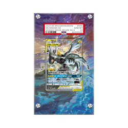 Pikachu & Zekrom GX SM168 Pokemon Extended PSA Artwork Protective Display Case - Image 1