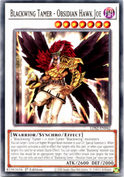 Blackwing Tamer - Obsidian Hawk Joe - LDS2-EN042 - Common - 1st Edition - Yugioh - Image 1