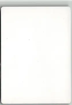 MTG Tranquility Tempest Artist Proof Signed Margaret Organ-Kean - Image 2