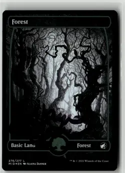 MTG Forest 276/277 MID Midnight Hunt Foil Signed Auto Alayna Danner Basic Land - Image 1