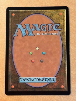 MTG Magic the Gathering Undercity Sewers Murders at Karlov Manor NM - Image 2