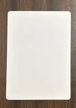 MTG Miser's Cage 1996 Mirage Signed Jeff Miracola Artist Proof Rare Vintage AP - Image 2