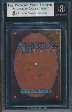 Alpha Northern Paladin BGS 9 Graded Magic MTG (4132) -magicgraders- - Image 2