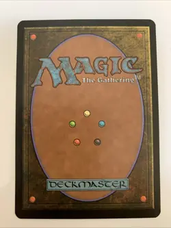 MTG NM Steelshaper's Gift Fifth Dawn Free Shipping In The US With Tracking - Image 2