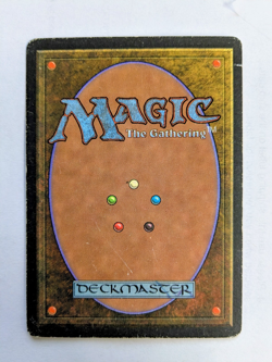 MTG REVISED Animate Dead SIGNED IN GOLD BY ANSON MADDOCKS - Image 2