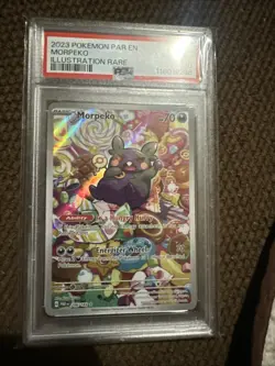 2023 Pokemon MORPEKO 206182 Paradox Rift Illustration Rare Holo English G2U - Image 1