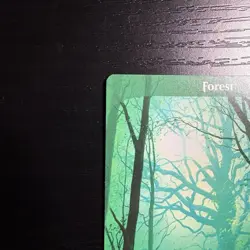 Forest Full Art Regular MTG Unstable #216 LP - Image 2