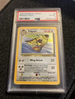 Pokemon TCG Pidgeot Jungle 8/64 Holo Unlimited Holo Rare PSA 6 - Image 1