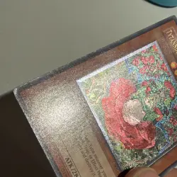 Yugioh! Tytannial, Princess of Camellias Ultimate Rare CSOC-DE029 Unl LP - Image 2