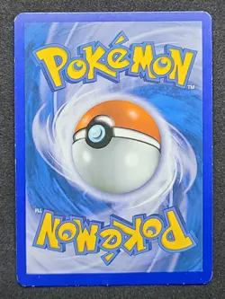 LP 2010 POKEMON JPN WORLD COLLECTION SPANISH PIKACHU-HOLO TCG - Image 2