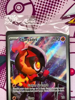 Pokemon TCG - Charcadet MEP 022 - Phantasmal Flames - Black Star Promo - SEALED - Image 2