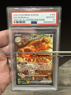 2024 POKEMON SCR EN-STELLAR CROWN SPECIAL ILLUSTRATION RARE DACHSBUN EX PSA 10 - Image 1