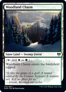 1 x Woodland Chasm - Kaldheim - NM-Mint - MTG - Image 1
