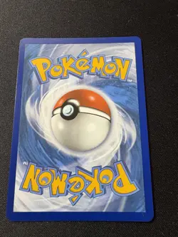 Pokemon Raikou 50/185 Holo Amazing Rare Vivid Voltage Pack Fresh Card - Image 2