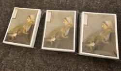 Dragon Shield * Whistlers Mother * 150+ Card Sleeves * - Image 2