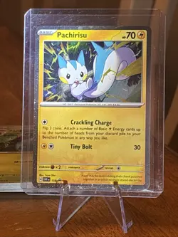 Pokemon TCG Pachirisu SVP 158 - Cosmos Holo Black Star Promo - Surging Sparks NM - Image 1
