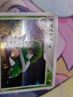 Torterra - Holo - DP Entry Pack '08 1st Edition Pokemon Card - LP/MP - Image 4