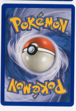 Numel 61/109 Ruby & Sapphire E-Reader Pokemon Card - Image 2