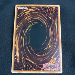 D.D. Warrior Lady SD5-EN011 Common 1st Edition LP+ - Image 4