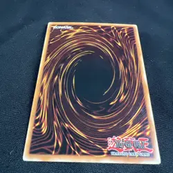 D.D. Warrior Lady SD5-EN011 Common 1st Edition LP+ - Image 5