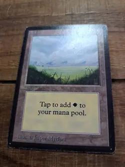 Plains No Trees Alpha MTG Magic The Gathering - Image 2