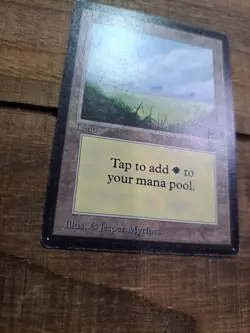 Plains No Trees Alpha MTG Magic The Gathering - Image 3