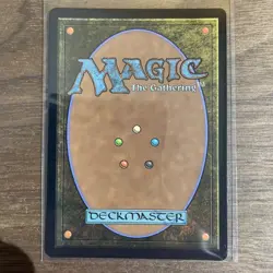 The Cabbage Merchant #0134 Foil NM Avatar: Eternal-Legal Foil MTG - Image 2