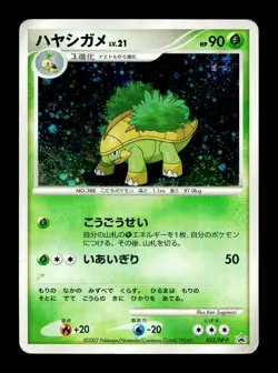 [HP] Grotle Holo Japanese Card Exchange 052/DP-P Pokemon - Image 1