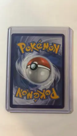 Pokemon TCG Squirtle Stellar Crown Scarlet & Violet Illustration Rare 148/142 - Image 2