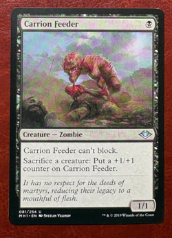 1x NM Carrion Feeder - 081/254 U MH1 - MTG Magic Never Played x1 - Image 1