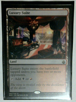 Mtg - Luxury Suite - Image 1