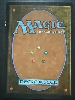 Magic the Gathering Legends Planar Gate Card LP - Image 3