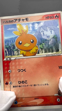 May's Torchic 037/ADV-P Shogakukan Elementary Promo 2003 Japanese Pokemon Card - Image 2