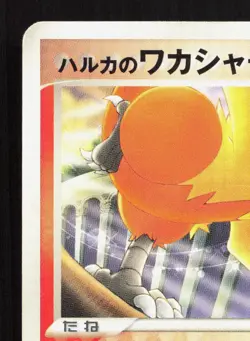 May's Combusken 002/019 Sea's Manaphy Deck MP Japanese Pokemon Card TCG - Image 2