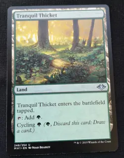 Tranquil Thicket - Modern Horizons - NM Unplayed - EN - 248 - Image 1