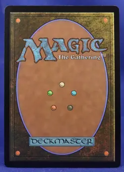 Forest - MTG - Rainbow Foil x KEXP Secret Lair Drop SLD Lands - Excellent NM - Image 2