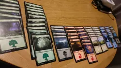 MTG 62 Land Cards Tales Of Middle Earth Lord Of The Rings Swamp Forest Mountain - Image 1