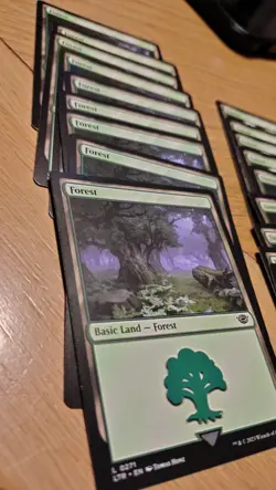 MTG 62 Land Cards Tales Of Middle Earth Lord Of The Rings Swamp Forest Mountain - Image 2