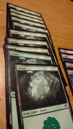 MTG 62 Land Cards Tales Of Middle Earth Lord Of The Rings Swamp Forest Mountain - Image 3