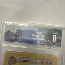 Pokemon Pidgeot 24/64 Non-Holo Rare Unlimited Jungle Set MP Vintage Card TCG Vtg - Image 4